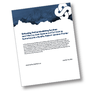 White Paper: Evaluating Partner Marketing Services